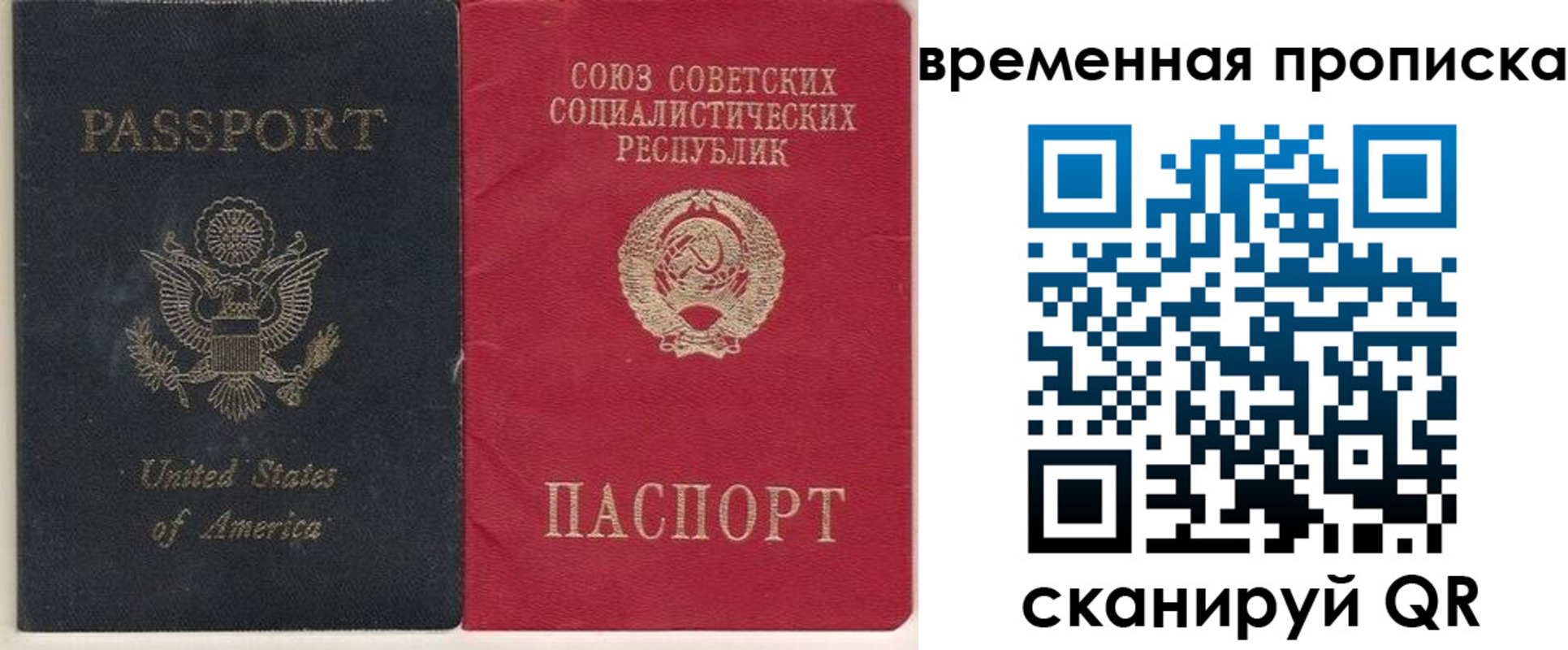 прописка для школы в Зернограде